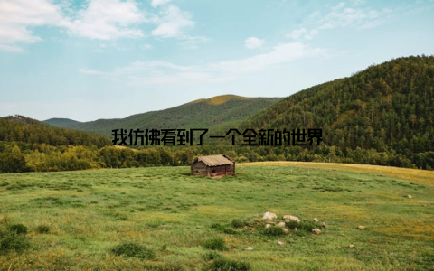 我仿佛看到了一个全新的世界