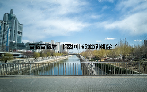 审核审核后, 你就可以领取补助金了