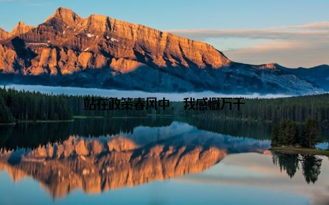 站在政策春风中, 我感慨万千