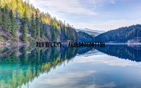 我们的工作, 从选种育种开始