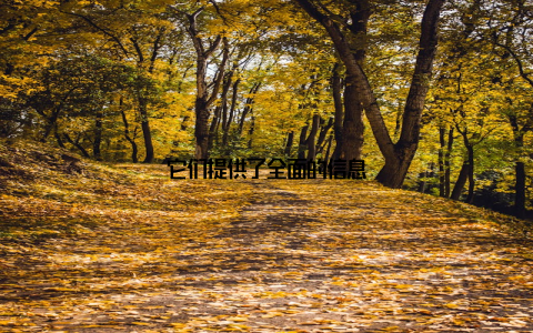 它们提供了全面的信息