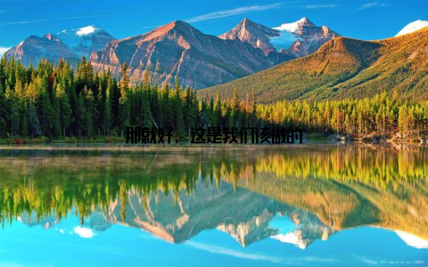 那就好, 这是我们该做的