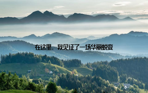 在这里, 我见证了一场华丽蜕变