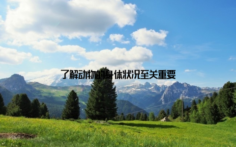 了解动物的身体状况至关重要