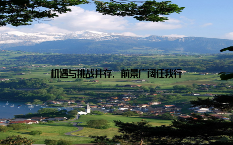 机遇与挑战并存, 前景广阔任我行