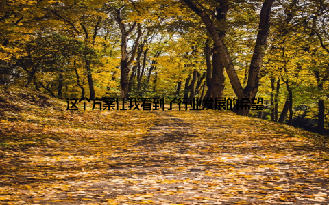 这个方案让我看到了行业发展的希望