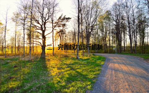 二、完善权力运行机制