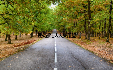 现实却让人大失所望