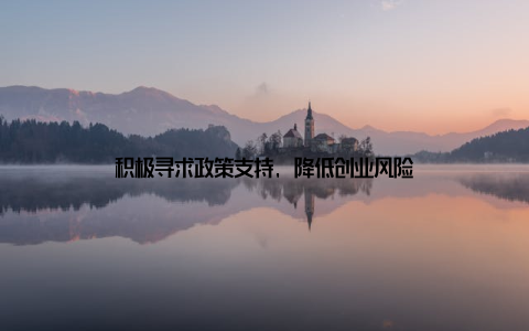 积极寻求政策支持, 降低创业风险