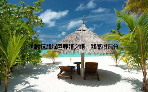 回顾这段绿色养殖之路, 我感慨万分