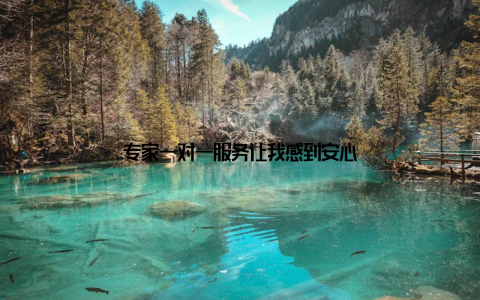 专家一对一服务让我感到安心