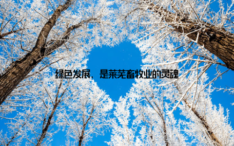 绿色发展, 是莱芜畜牧业的灵魂