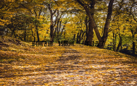 时间飞逝, 转眼间, 一年过去了