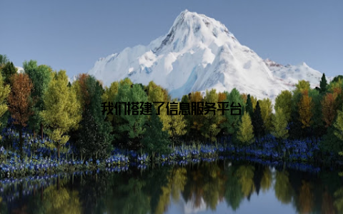 我们搭建了信息服务平台