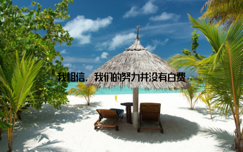 我相信, 我们的努力并没有白费