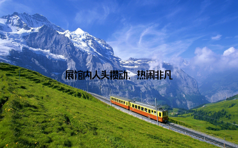 展馆内人头攒动, 热闹非凡