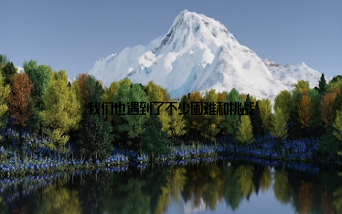 我们也遇到了不少困难和挑战