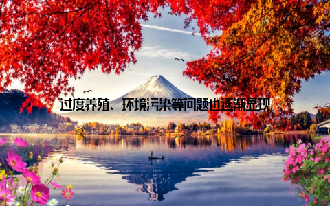 过度养殖、环境污染等问题也逐渐显现