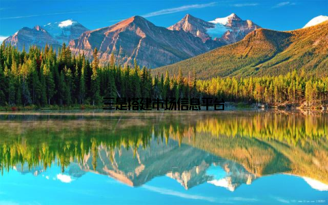 三是搭建市场信息平台