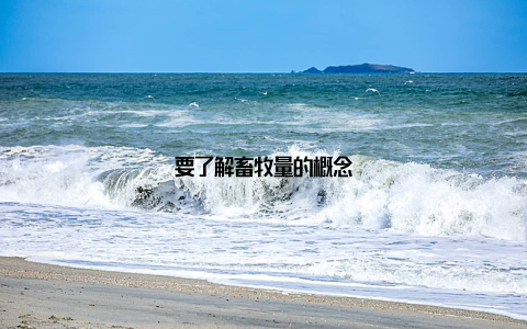 要了解畜牧量的概念