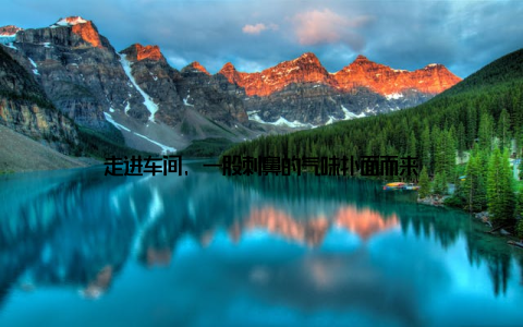 走进车间, 一股刺鼻的气味扑面而来