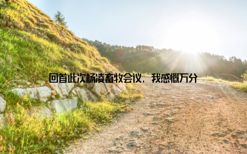 回首此次杨凌畜牧会议, 我感慨万分