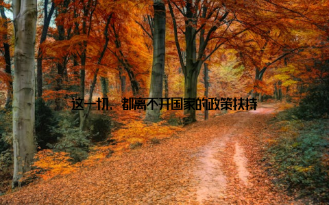 这一切, 都离不开国家的政策扶持