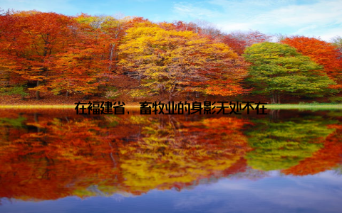 在福建省, 畜牧业的身影无处不在