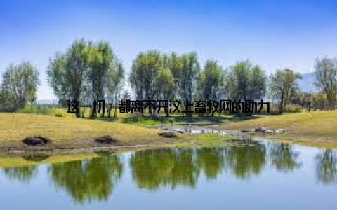 这一切, 都离不开汶上畜牧网的助力