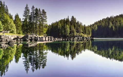 干草加工技术也得到了飞速发展