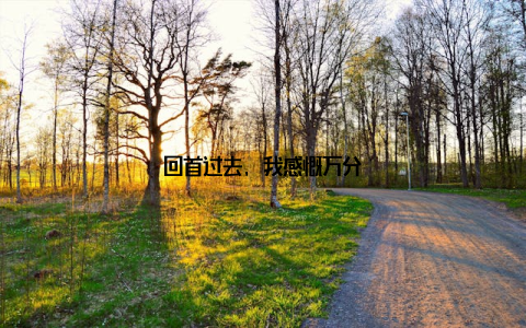 回首过去, 我感慨万分