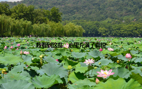 我看到这些, 心里充满了喜悦