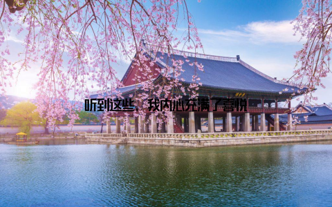 听到这些, 我内心充满了喜悦