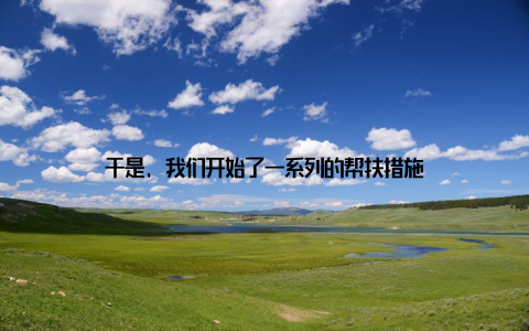 于是, 我们开始了一系列的帮扶措施