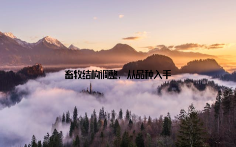 畜牧结构调整, 从品种入手