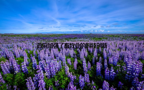 政府加强了畜牧业的科技创新