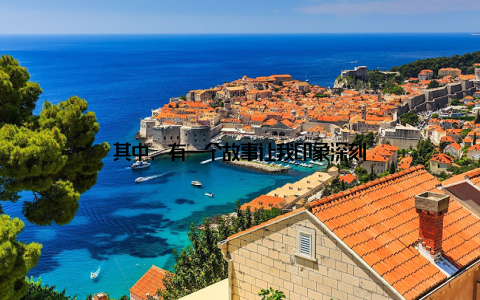 其中, 有一个故事让我印象深刻