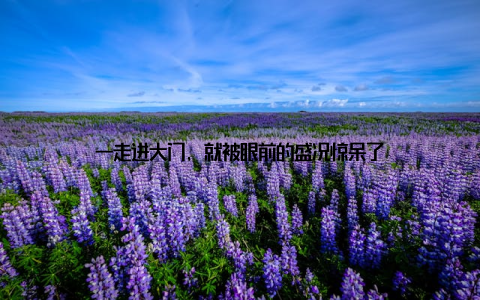 一走进大门, 就被眼前的盛况惊呆了