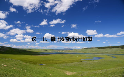 这一切, 都让我感到无比欣慰